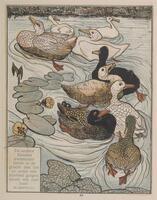 KG 2014 042
<br/>
Zwemmende eenden
<br/>
<em>Hoytema, Theo van (1863 -1917)</em>